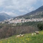 Panorama Lago, by Paolicolor