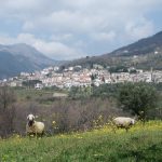 Panorama Lago, by Paolicolor